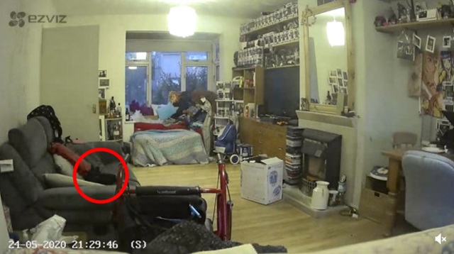 Đúng một năm sau khi chú mèo cưng qua đời, cô gái hoảng sợ khi xem camera phòng khách - 2