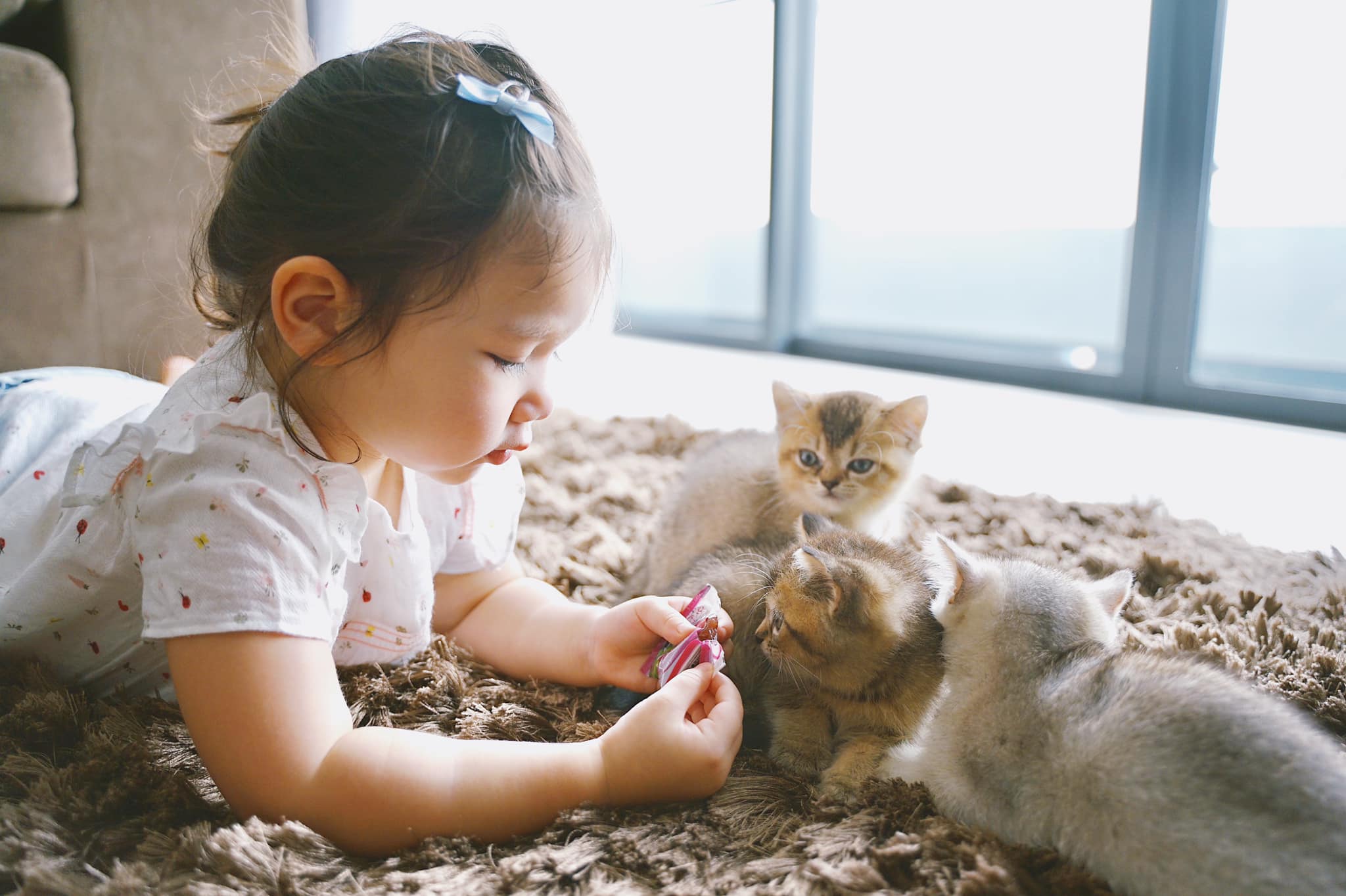 Sao Việt 24h: Ảnh hiếm thời trẻ của ca sĩ lai Tây Phi Nhung, giờ 48 tuổi vẫn amp;#34;xì-tinamp;#34; - 15