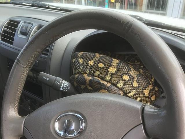 Đóng cửa ô tô không kín một đêm, sáng hôm sau người đàn ông hốt hoảng khi kiểm tra