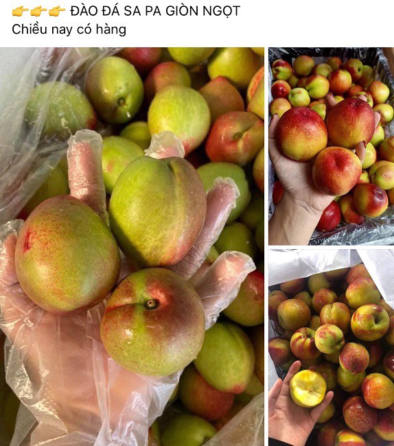 Đào trơn giá rẻ bày bán đầy chợ, chị em thi nhau mua: Tiểu thương tiết lộ bất ngờ - 2