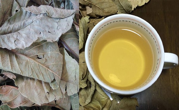 16 tác dụng của lá ổi và cách pha trà từ lá ổi để uống hàng ngày - 7