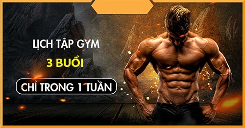 lich tap gym cho nam moi bat dau giup tang co giam mo hieu qua - 4