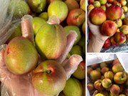 Tiêu dùng - Đào trơn giá rẻ bày bán đầy chợ, chị em thi nhau mua: Tiểu thương tiết lộ bất ngờ