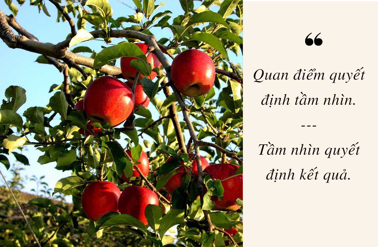 tu duy ve qua tao quyet dinh ai sap phat len giau sang, ai con quan quanh trong chat vat - 3