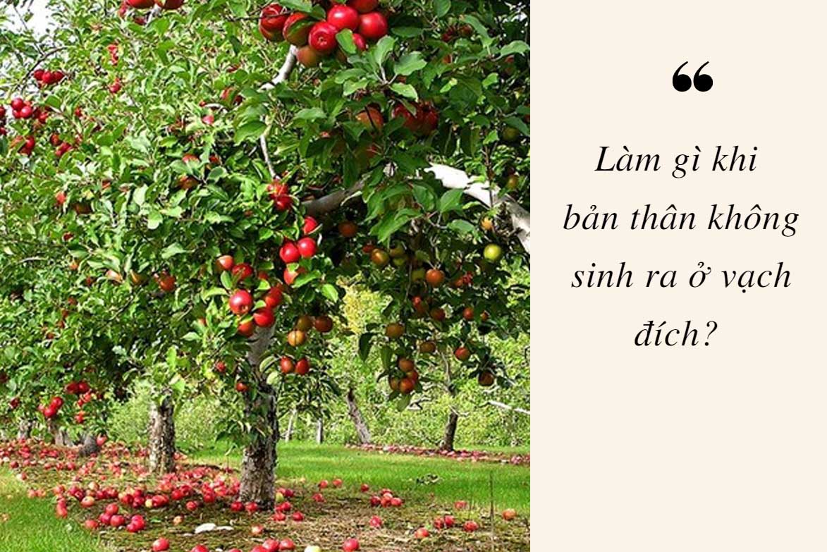 Tư duy về quả táo quyết định ai sắp phất lên giàu sang, ai còn quẩn quanh trong chật vật - 1