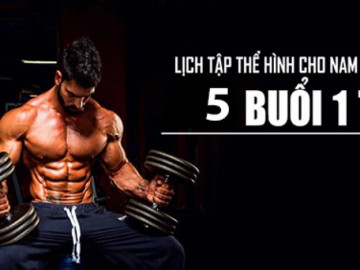 Lịch tập gym cho nam mới bắt đầu giúp tăng cơ giảm mỡ hiệu quả