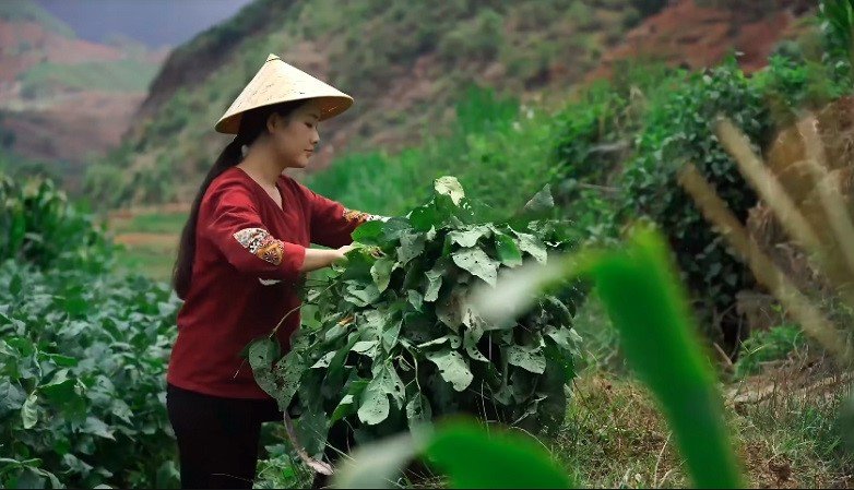 chi "ve que nuoi ca va trong them rau", 4 kenh youtube nay thu ve loi nhuan khung - 5