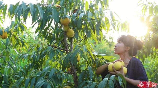 chi "ve que nuoi ca va trong them rau", 4 kenh youtube nay thu ve loi nhuan khung - 3