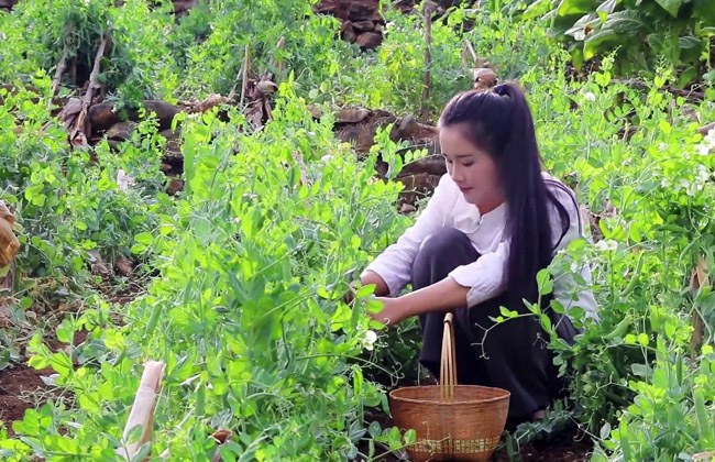 chi "ve que nuoi ca va trong them rau", 4 kenh youtube nay thu ve loi nhuan khung - 4