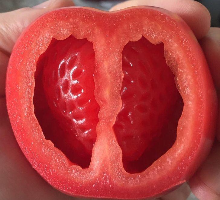 14 hình ảnh chứng minh: Mẹ thiên nhiên chưa bao giờ làm chúng ta ngừng ngạc nhiên - 1