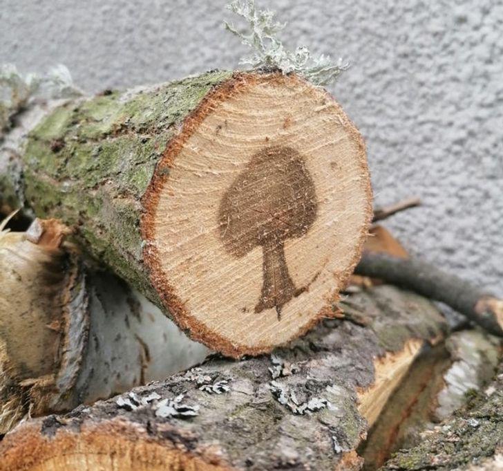 14 hình ảnh chứng minh: Mẹ thiên nhiên chưa bao giờ làm chúng ta ngừng ngạc nhiên - 4