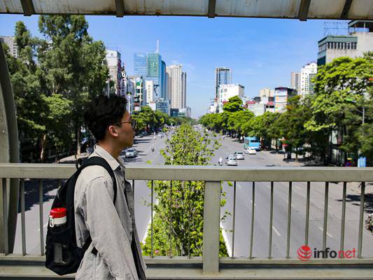 Hà Nội: Hàng phong trổ lá xanh tươi giữa hè nắng gắt - 3