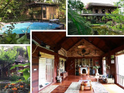 Nhà đẹp - Cô giáo về hưu dựng nhà sàn giữa thung lũng 7000m², tìm bình yên cách Hà Nội 49km