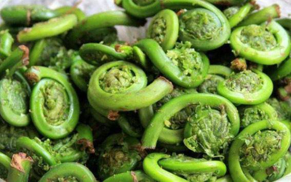 Tứ đại kỳ thảo được mệnh danh là amp;#34;rau trường thọamp;#34;, nhiều loại quý hơn cả nhân sâm - 6