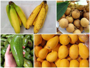 Tiêu dùng - 5 loại hoa quả thường xuyên bị ngâm ủ hóa chất: Nhìn sự khác thường ở cuống để phân biệt