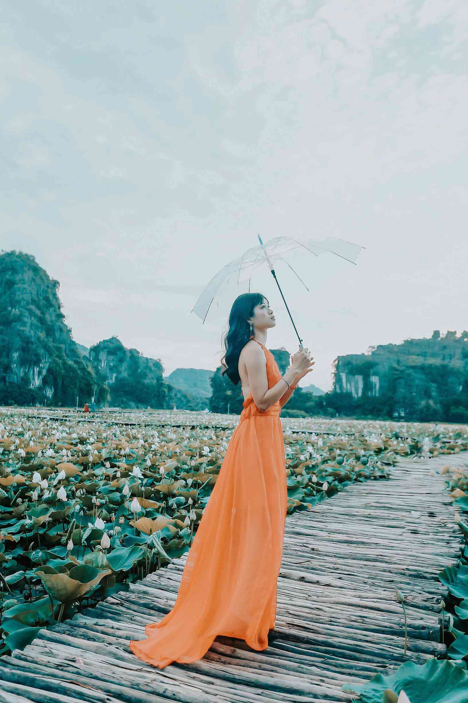 gioi tre dua nhau check-in con duong go giua ho sen o hang mua - 4