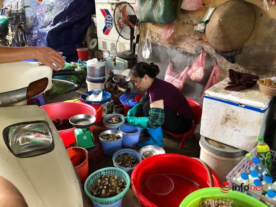 Nắng nóng, nghìn quả dừa bán veo mỗi ngày, thịt lợn không bóng khách - 4