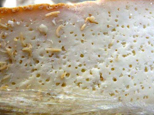 Hoảng hồn với 5 món ăn được cho là “kinh dị” nhất thế giới khiến thực khách khiếp đảm - 3