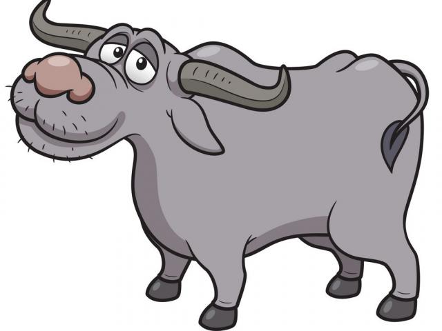 3 con giáp khổ trước sướng sau, trung niên phát lộc rực rỡ