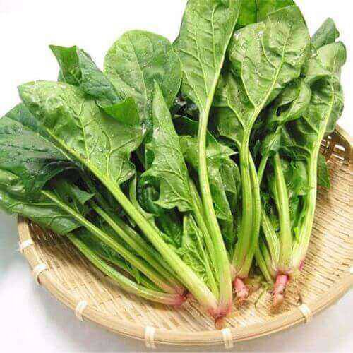 ai cung nghi thuc pham tuoi song nhieu chat nhat, nhung 5 loai nay dong lanh se bo duong hon - 3
