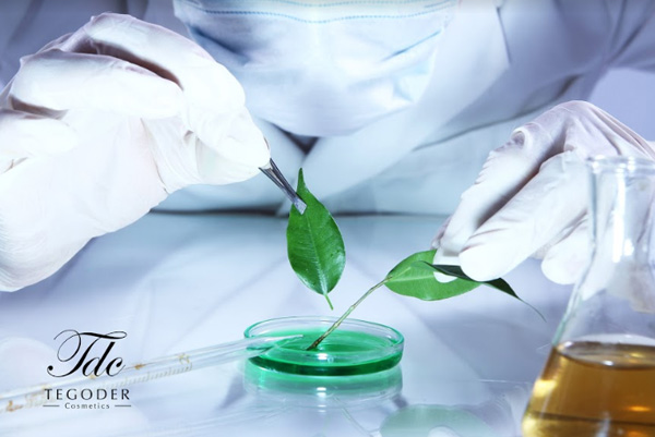 Mỹ phẩm Tegoder Cosmetics và những điều khiến cả thế giới amp;#34;ngả mũamp;#34; thán phục - 3