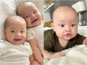 Giải trí - Sao Việt 24h: Hồ Ngọc Hà khoe cặp song sinh thần thái, khoái chí khi nhận được "quà" fan tặng