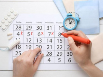 Vòng kinh 30 ngày thì rụng trứng vào ngày nào, cách tính ra sao?