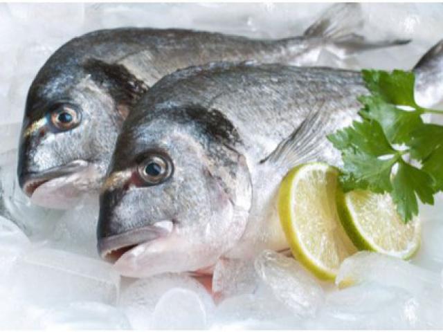 Thời hạn bảo quản cá tươi và cá đã nấu chín trong tủ lạnh không phải ai cũng biết
