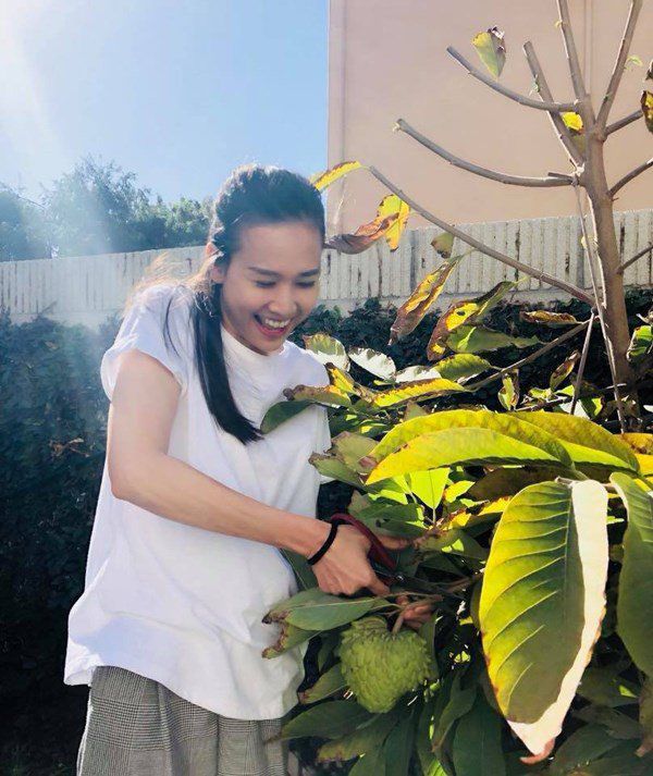 Nhà Celeb: Không chỉ ngoài vườn thơm ngát, Dương Mỹ Linh còn sống trong nhà đầy hoa - 14