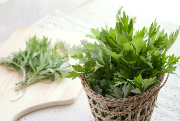 Ăn gì tốt cho niêm mạc để chuyển phôi, phôi làm tổ thành công? - 2