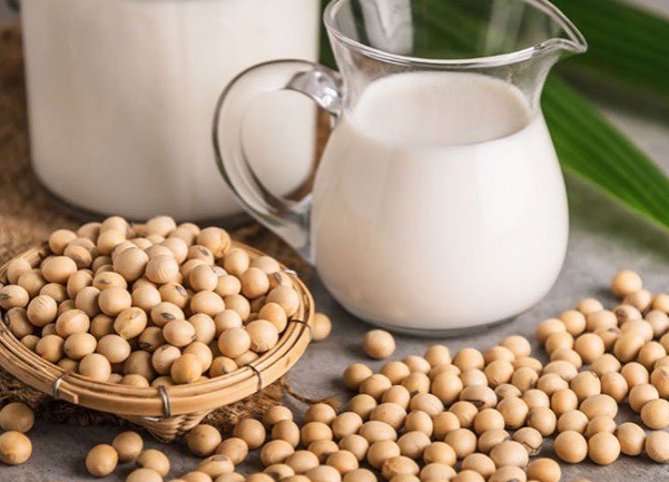 Ăn gì tốt cho niêm mạc để chuyển phôi, phôi làm tổ thành công? - 6