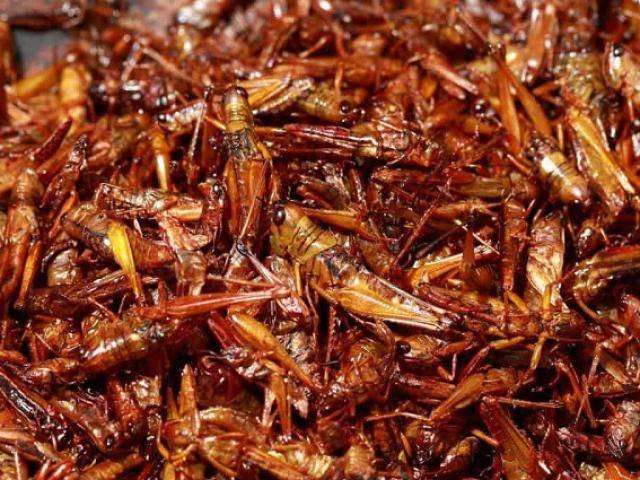 10 món ăn kỳ quái của Nhật Bản khiến du khách phải khóc thét trong lần đầu nếm thử