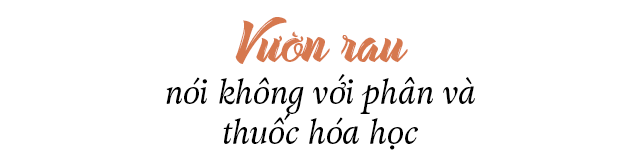 Chàng trai Vĩnh Long làm khu vườn 200m2, sáng 6h dậy vạch lá bắt sâu - 16