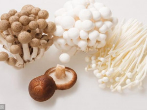 4 loại nấm 