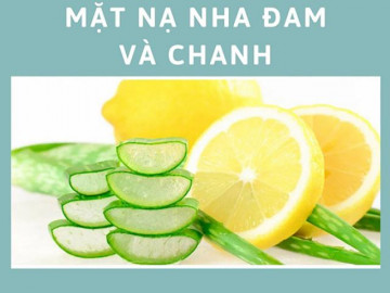 10 Cách trị mụn bằng nha đam đúng cách để có làn da trắng sáng mịn màng