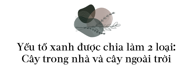 8X Hà Nội chi 900 triệu sửa nhà nội đô 25 năm tuổi, nhìn thành quả tưởng ở nước ngoài - 17