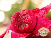 Bếp Eva - Mua thanh long chọn quả ngắn hay dài, người trồng mách 3 chiêu đảm bảo quả nào cũng ngọt
