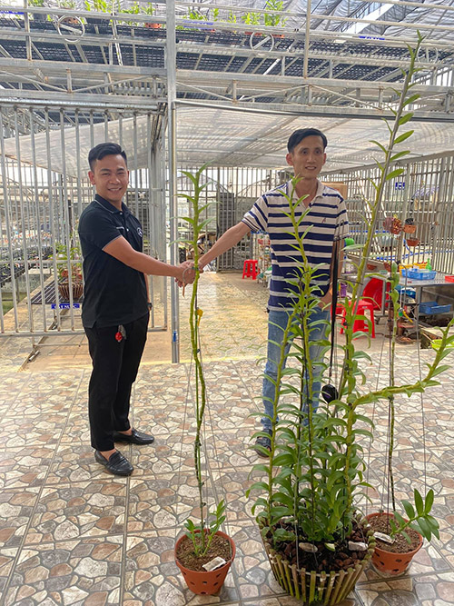 Nghệ nhân Trần Quốc Hoà chia sẻ cách chăm sóc hoa lan quý hiếm - 3