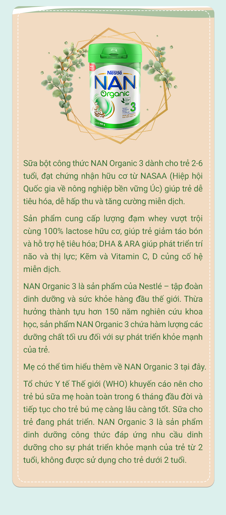 6 gợi ý xây dựng lối sống xanh giúp con phát triển khỏe mạnh hơn - 32