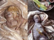 Tin tức - Kỳ lạ dê đột biến sinh ra với khuôn mặt giống hệt người