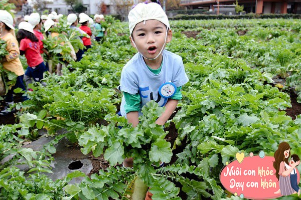Sức khỏe của trẻ em Nhật Bản đứng đầu thế giới, bí mật nằm ở bữa ăn trưa - 6