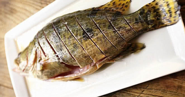 2 cách làm cá mú hấp xì dầu ngon đơn giản ai ăn cũng thích – Eva
