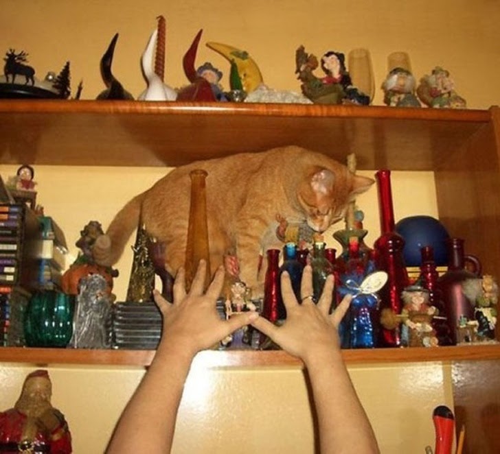 Những khoảnh khắc hài hước “đi vào lòng đất” - 8