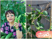 Nhà đẹp - Nhà Celeb: Ở trời Tây giản dị như quê, sao Việt một thời tự trồng toàn loại rau quen thuộc