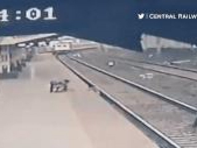 Clip Eva - Nghẹt thở cảnh bé trai ngã xuống đường ray được cứu ngay trước mũi tàu