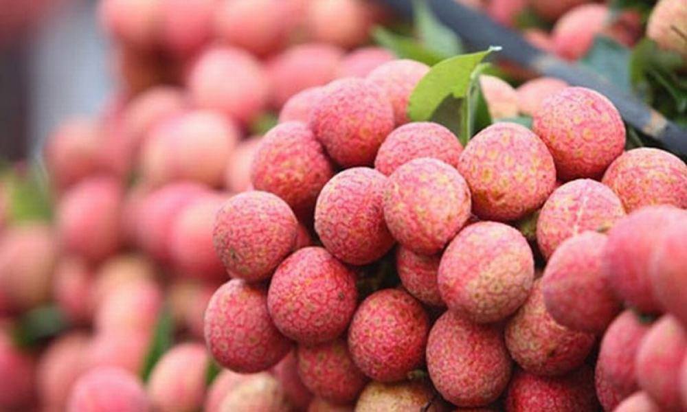 6 đặc sản Bắc Giang ngon amp;#34;xỉuamp;#34;, mua về làm quà ai nhận cũng vui - 1