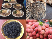 Xem ăn chơi - 6 đặc sản Bắc Giang ngon "xỉu", mua về làm quà ai nhận cũng vui