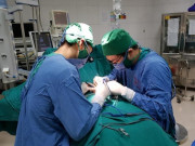 Sức khỏe - Nam thanh niên Hà Nội đang "tự sướng" bỗng bạn gái gọi điện, không ngờ gặp nạn phải đi viện