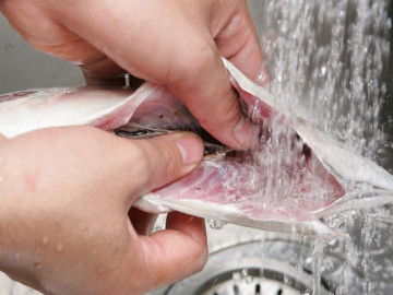 Mẹo hay nhà bếp - 5 bộ phận cực tanh ở cá khi chế biến cần loại bỏ ngay