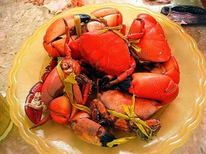 7 đặc sản nổi tiếng Cô Tô, toàn hải sản ngon, chỉ ăn một lần sẽ “chết mê chết mệt” - 4
